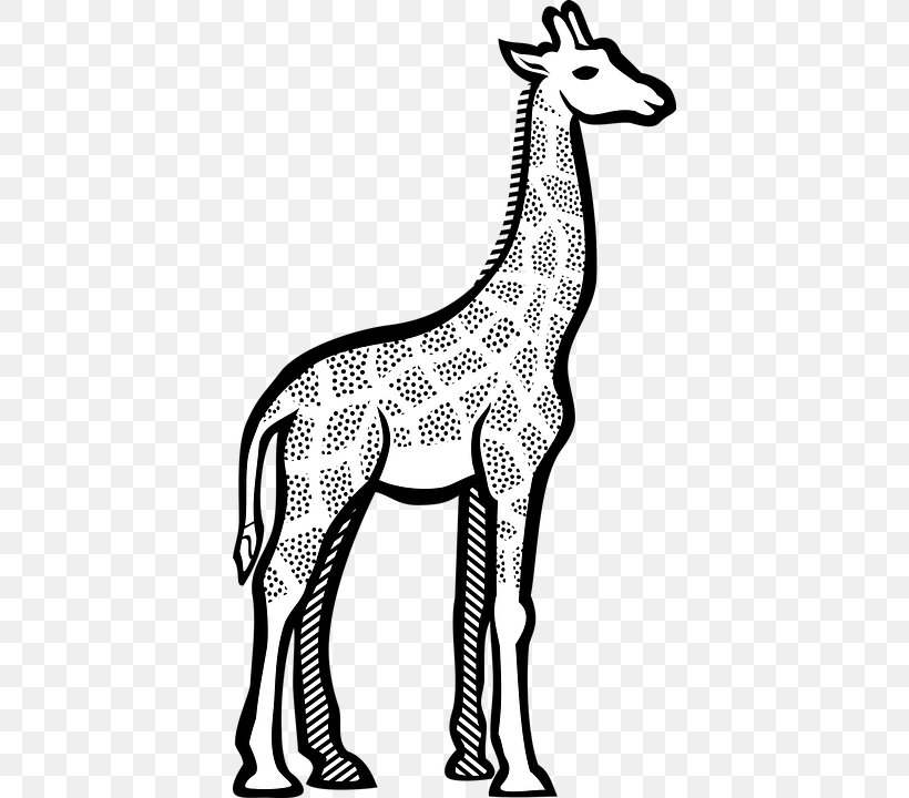 Giraffe Clip Art Line Art Vector Graphics Drawing, PNG, 400x720px, Giraffe, Art, Artwork, Black And White, Deer Download Free