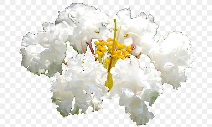 Floral Design Cut Flowers Flower Bouquet Flowering Plant, PNG, 721x491px, Floral Design, Cut Flowers, Floristry, Flower, Flower Arranging Download Free