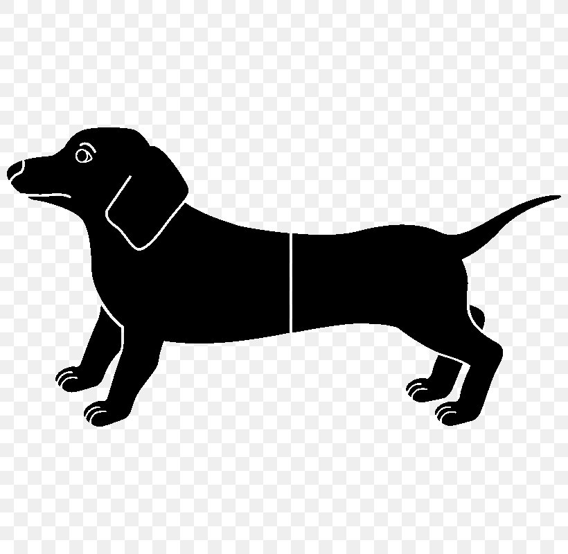 Labrador Retriever Puppy Dog Breed Leash, PNG, 800x800px, Labrador Retriever, Black, Black And White, Breed, Carnivoran Download Free