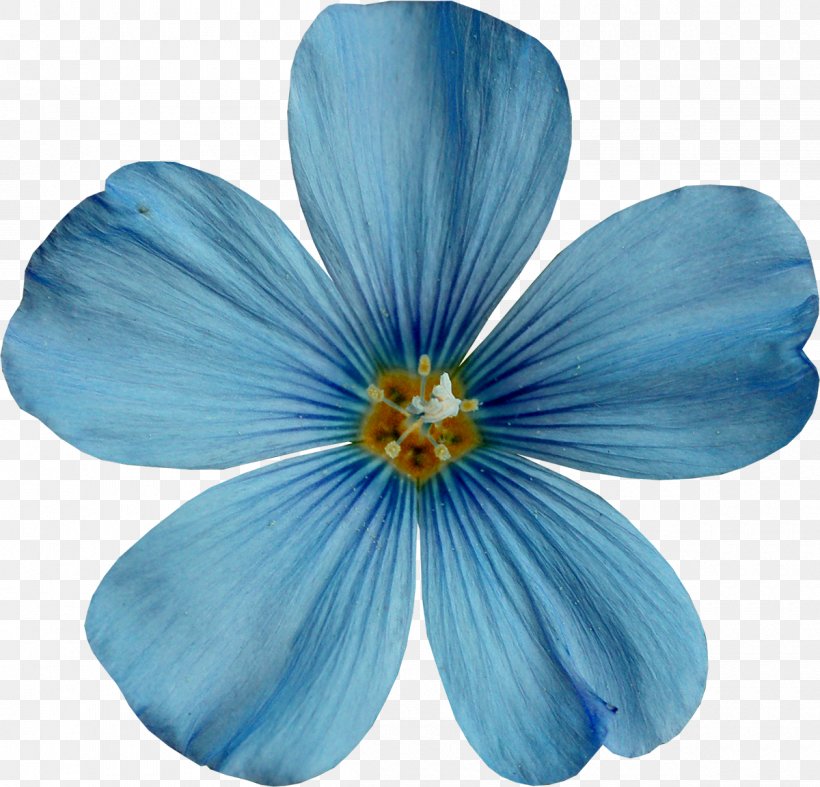 Sky Blue Clip Art, PNG, 1200x1152px, Blue, Color, Computer Software, Flower, Flowering Plant Download Free