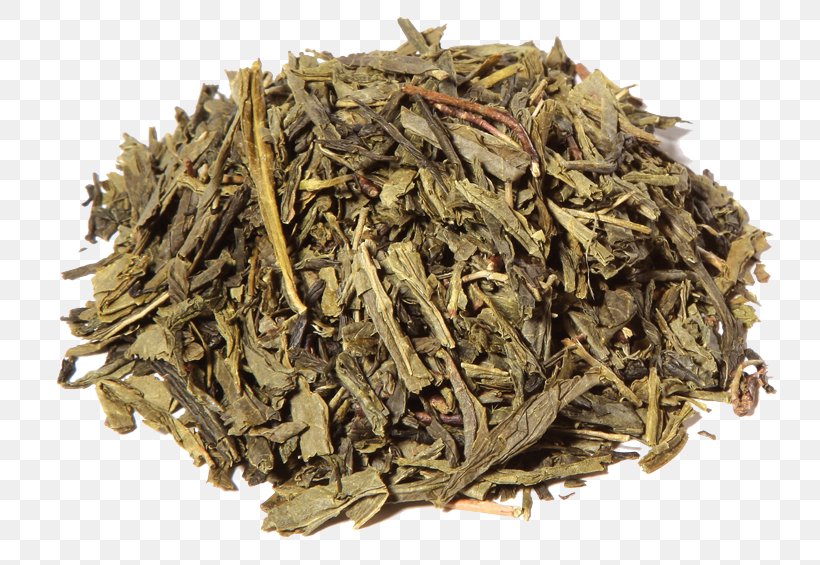 Bancha Green Tea Sencha White Tea, PNG, 800x565px, Bancha, Assam Tea, Aufguss, Bai Mudan, Baihao Yinzhen Download Free