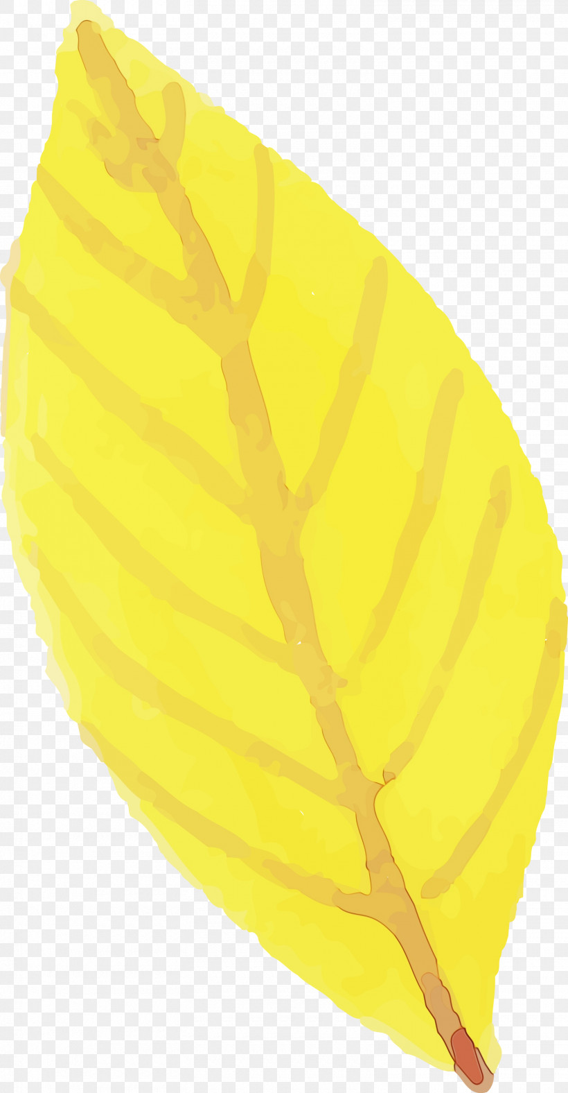 Leaf Yellow Biology Plants Science, PNG, 1560x3000px, Watercolor Autumn, Biology, Colorful Leaf, Leaf, Paint Download Free