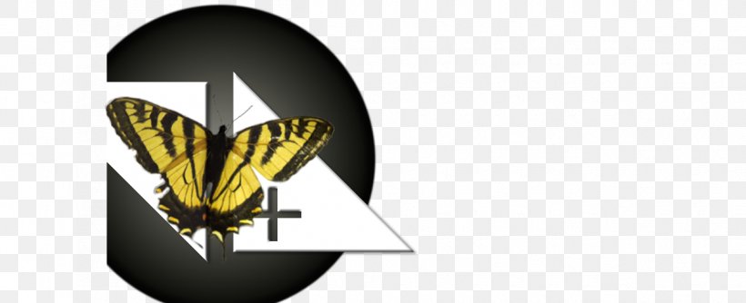 Logo Font Brand Insect, PNG, 1250x510px, Logo, Brand, Butterfly, Flag, Insect Download Free