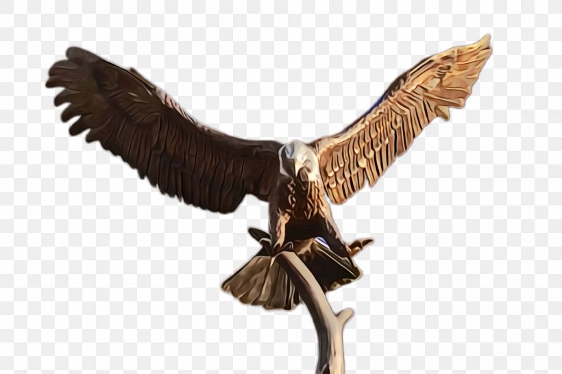 Bird Eagle Bird Of Prey Golden Eagle Osprey, PNG, 2000x1332px, Watercolor, Animal Figure, Bird, Bird Of Prey, Eagle Download Free