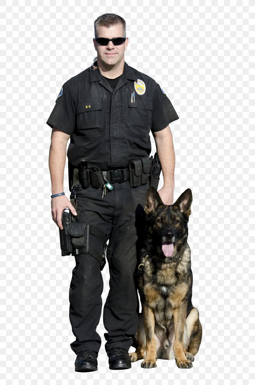 German Shepherd Malinois Dog Police Dog Police Officer, PNG, 3264x4928px, German Shepherd, Dog, Dog Breed, Dog Like Mammal, Guard Dog Download Free