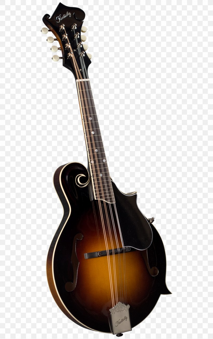 Mandolin Kentucky Sunburst Musical Instruments, PNG, 1008x1600px, Mandolin, Acoustic Guitar, Acousticelectric Guitar, Bass Guitar, Bass Violin Download Free