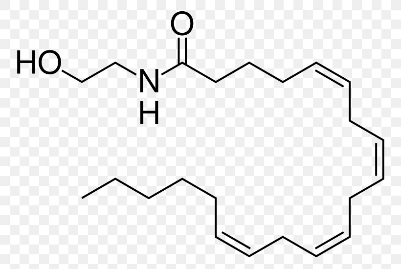 Anandamide Endocannabinoid System Cannabinoid Receptor Tetrahydrocannabinol, PNG, 800x550px, Anandamide, Ananda, Area, Black And White, Brain Download Free