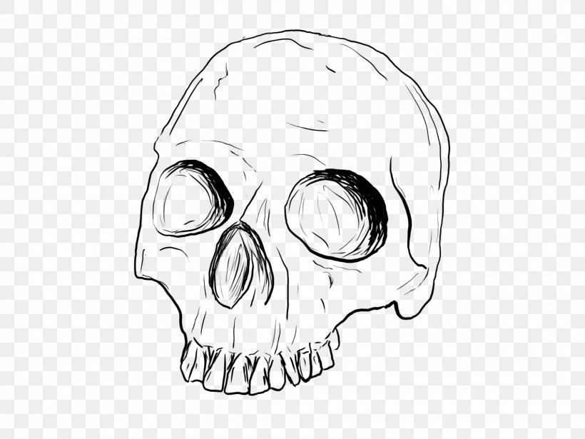 Drawing Skull Line Art Sketch, PNG, 1600x1200px, Drawing, Artwork