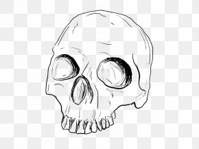 Skull Drawing Art Clip Art, PNG, 1166x1280px, Skull, Anatomy, Art ...