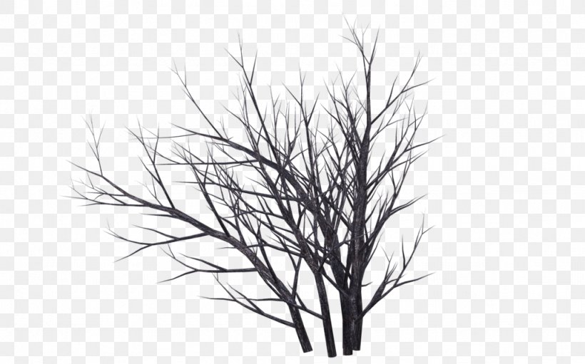Tree Photography Drawing, PNG, 1024x639px, 3d Rendering, Tree, Black And White, Branch, Death Download Free
