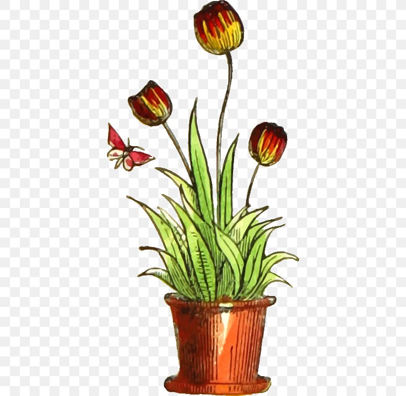 Tulip Flower Clip Art, PNG, 388x800px, Tulip, Cut Flowers, Flora, Floral Design, Floristry Download Free
