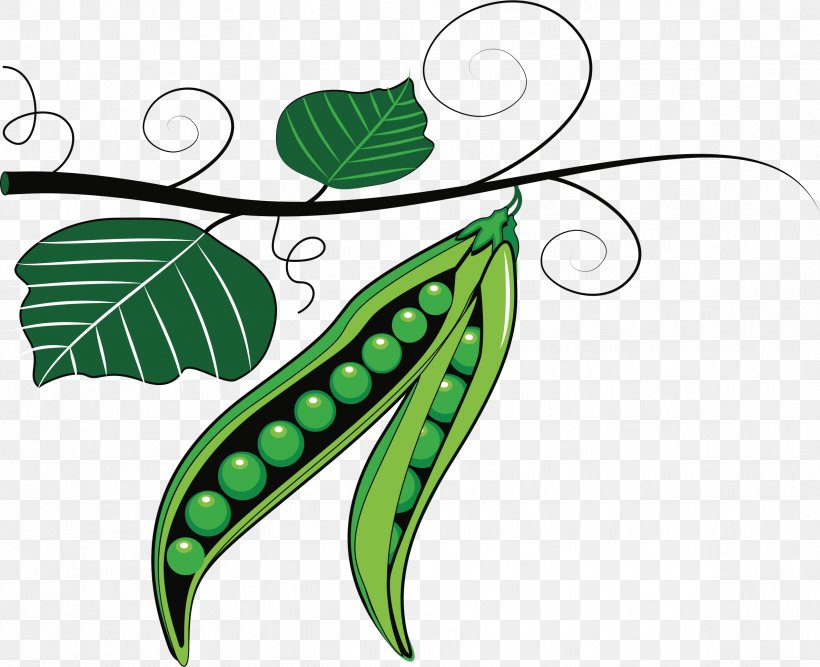 Green Pea Clip Art Openclipart, PNG, 2377x1935px, Green Pea, Bean, Blackeyed Pea, Botany, Food Download Free