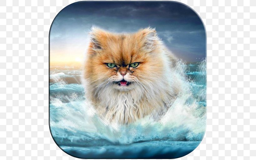 Lolcat Desktop Wallpaper IPhone 6, PNG, 512x512px, Cat, Asian Semi  Longhair, Carnivoran, Cat Lady, Cat Like