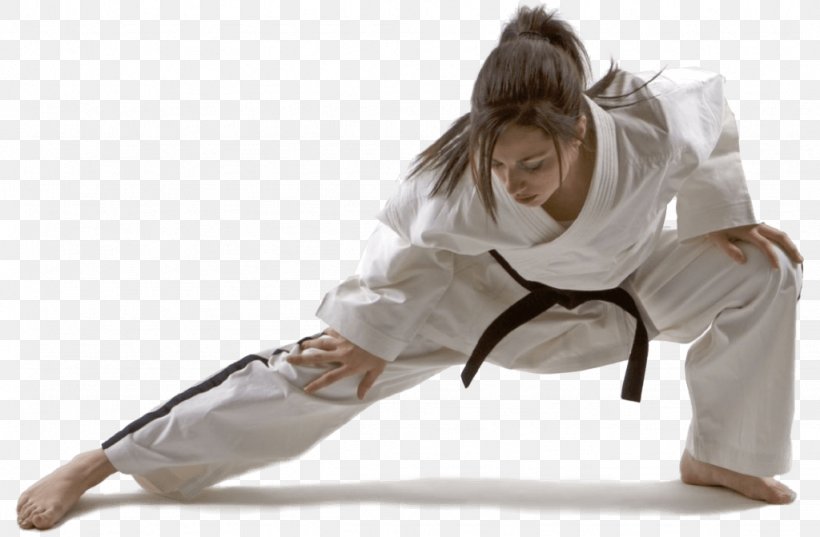 Playwell Martial Arts Taekwondo Self-defense Korean Martial Arts, PNG, 1024x671px, Martial Arts, American Taekwondo Association, Arm, Black Belt, Boxing Download Free