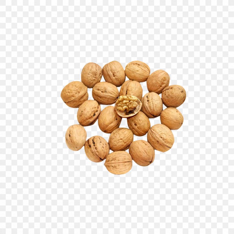 Walnut Euclidean Vector, PNG, 1000x1000px, Walnut, Element, Firecracker, Food, Ingredient Download Free