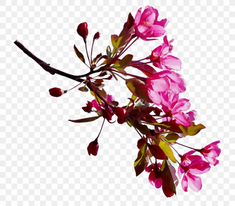 Clip Art Cherry Blossom Image, PNG, 1168x1024px, Cherry Blossom, Blossom, Botany, Branch, Bud Download Free