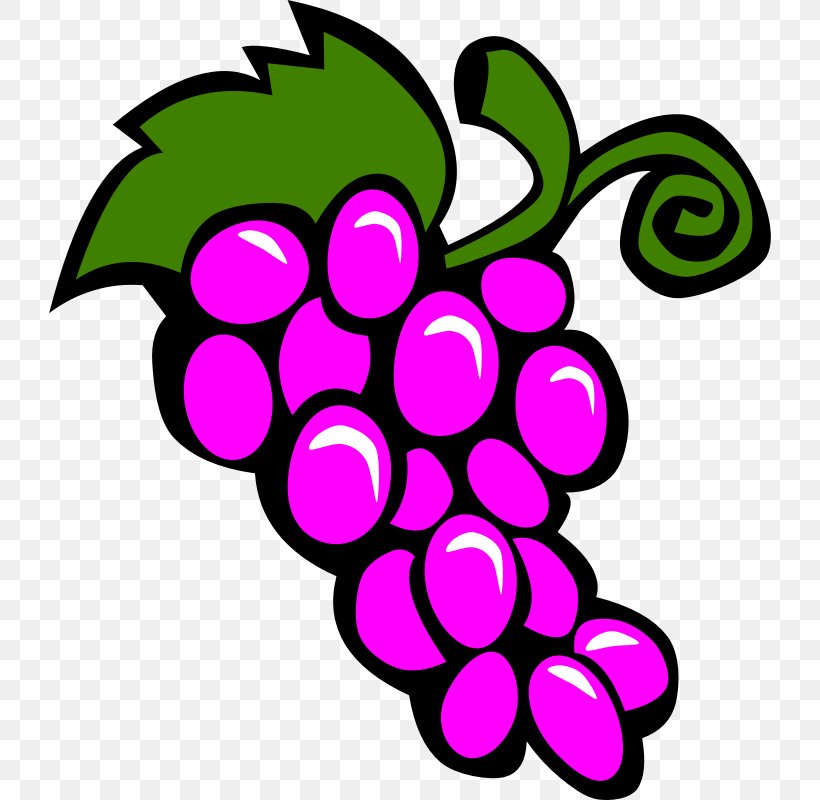 Common Grape Vine Wine Clip Art, PNG, 800x800px, Common Grape Vine, Artwork, Blog, Drawing, Flower Download Free