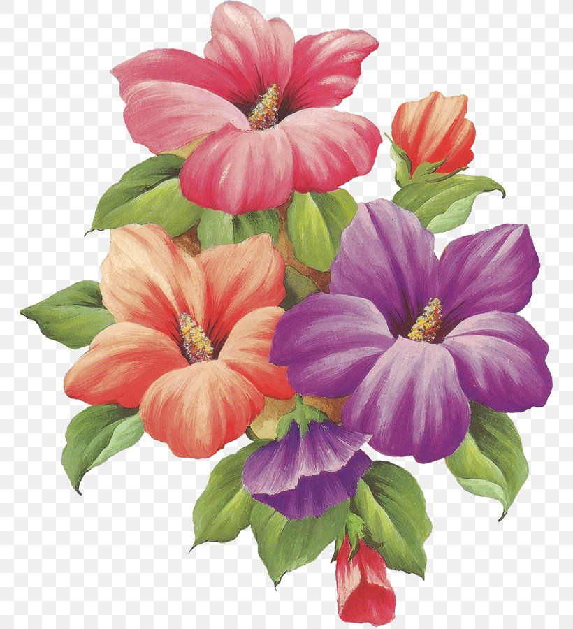 Flower Drawing Painting Paper, PNG, 762x900px, Flower, Annual Plant, Cut Flowers, Decoupage, Drawing Download Free