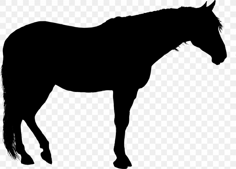 Horse Silhouette Clip Art, PNG, 2314x1660px, Horse, Black And White, Bridle, Colt, Drawing Download Free