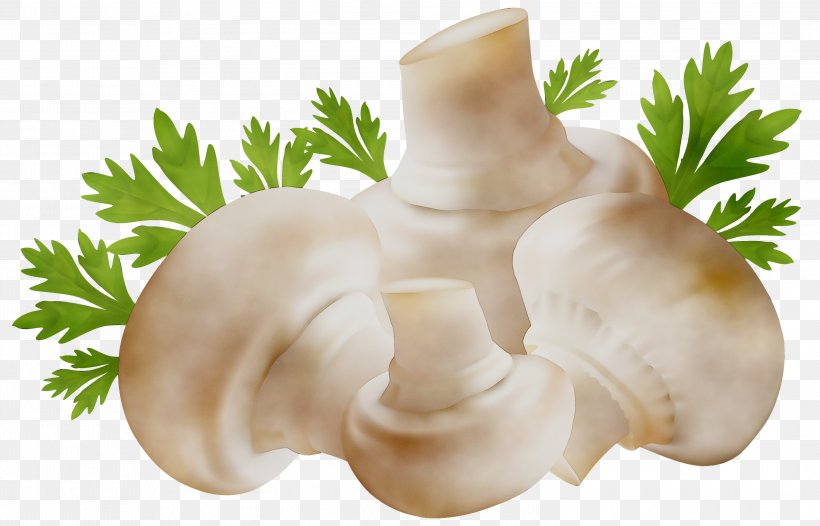 Mushroom Vector Graphics Clip Art, PNG, 2999x1925px, Mushroom, Common Mushroom, Edible Mushroom, Food, Herb Download Free