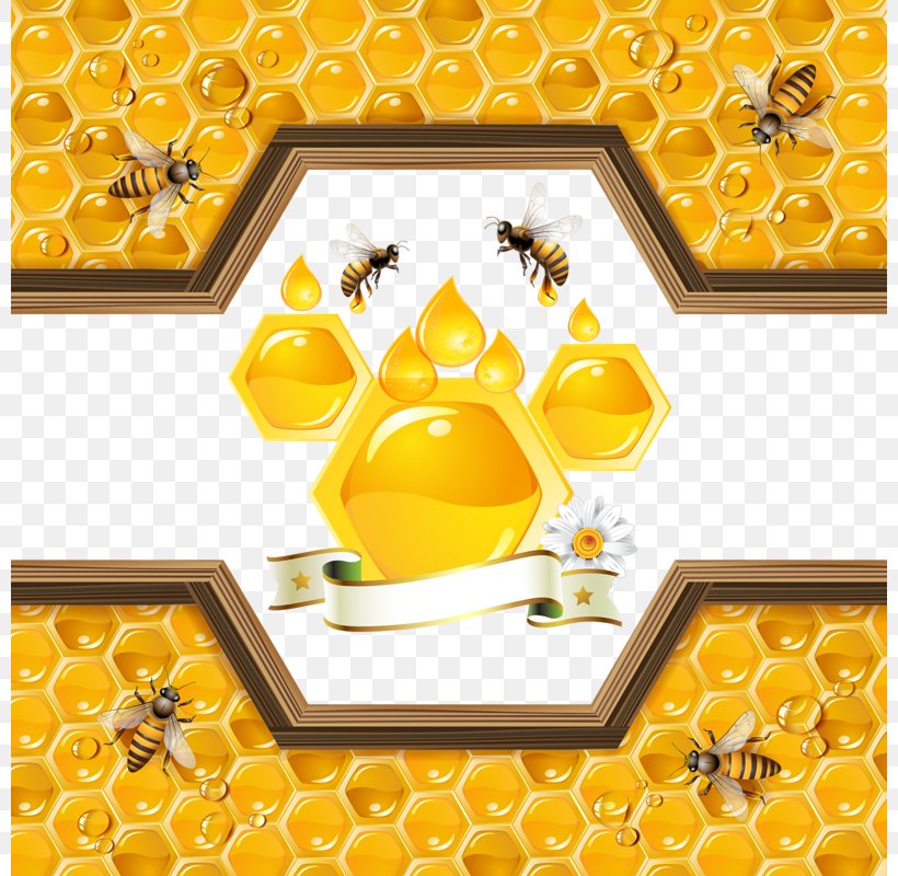 Bee Honeycomb Illustration, PNG, 800x800px, Bee, Beehive, Beekeeping, Can Stock Photo, Drawing Download Free