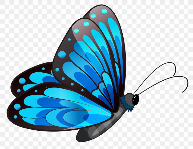 Butterfly Clip Art, PNG, 4155x3205px, Butterfly, Blue, Blue Green, Brush Footed Butterfly, Butterflies And Moths Download Free