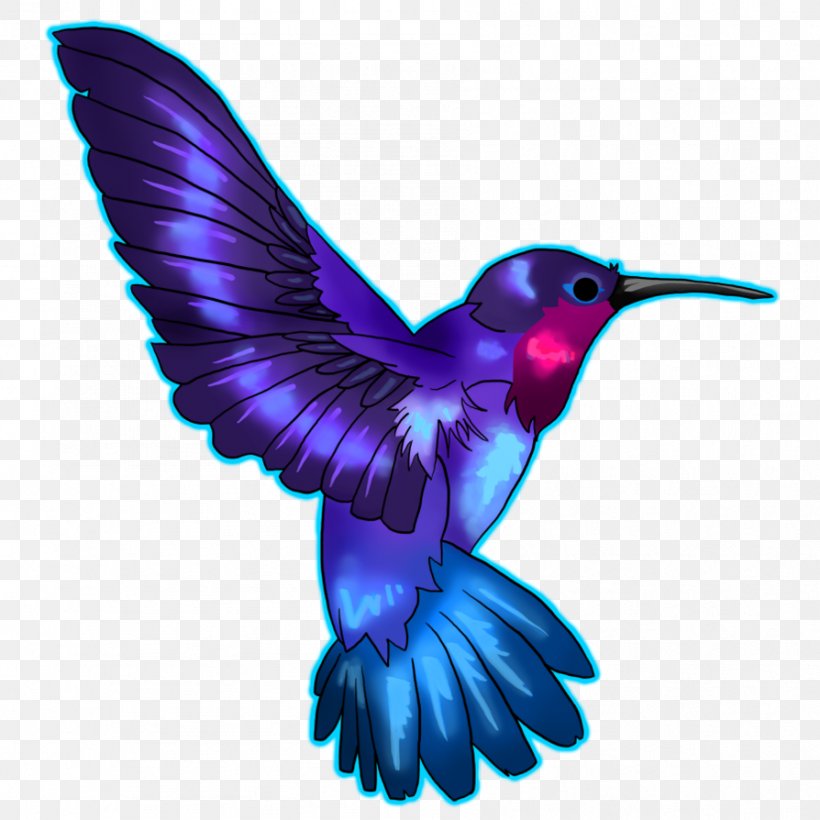 Hummingbird Drawing Blue Clip Art, PNG, 894x894px, Hummingbird, Beak, Bird, Blue, Color Download Free