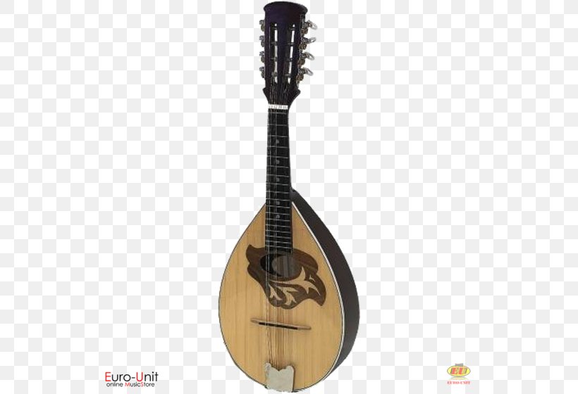 Mandolin Tiple Cuatro Acoustic-electric Guitar Bağlama, PNG, 560x560px, Watercolor, Cartoon, Flower, Frame, Heart Download Free