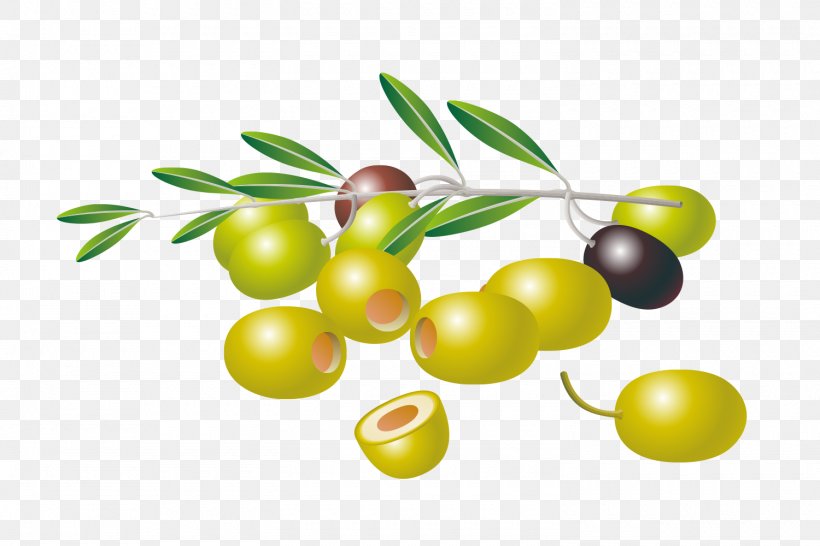 Olive Free Content Clip Art, PNG, 1500x1000px, Olive, Blog, Cherry, Citrus, Food Download Free