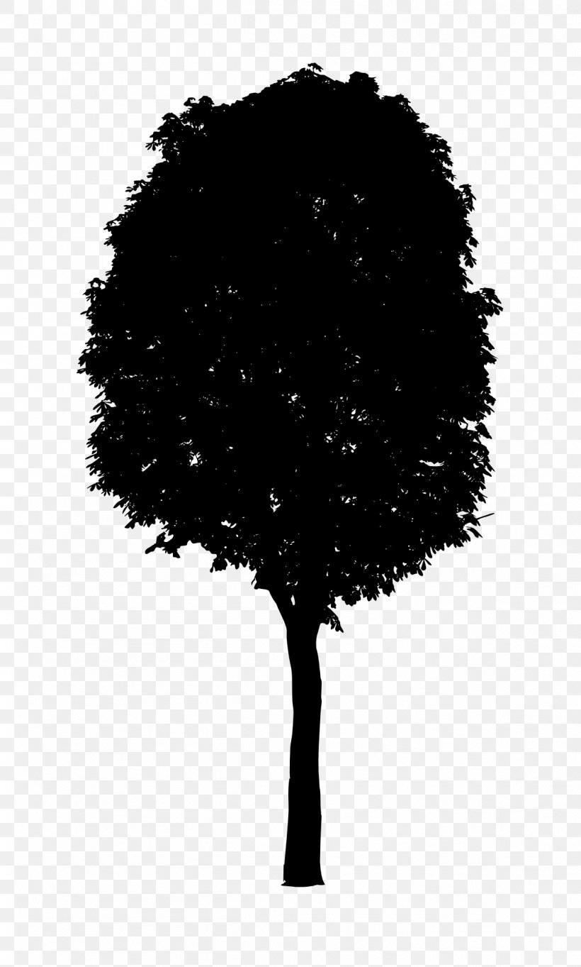 Tree Black And White, PNG, 1203x2000px, Tree, Black, Black And White, Branch, Leaf Download Free