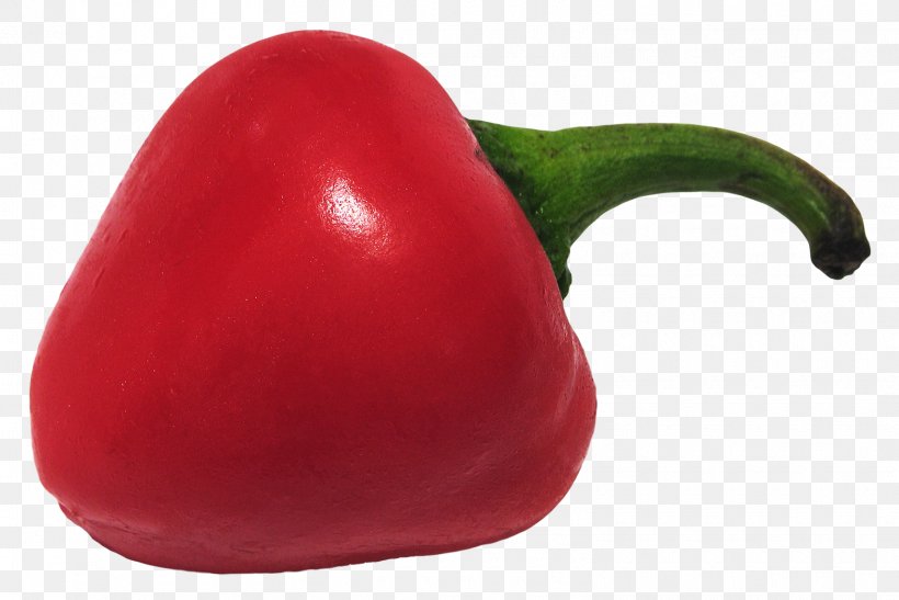 Chili Pepper Bell Pepper Paprika Pimiento Peperoncino, PNG, 1570x1049px, Bell Pepper, Bell Peppers And Chili Peppers, Cabbage, Capsicum, Capsicum Annuum Download Free