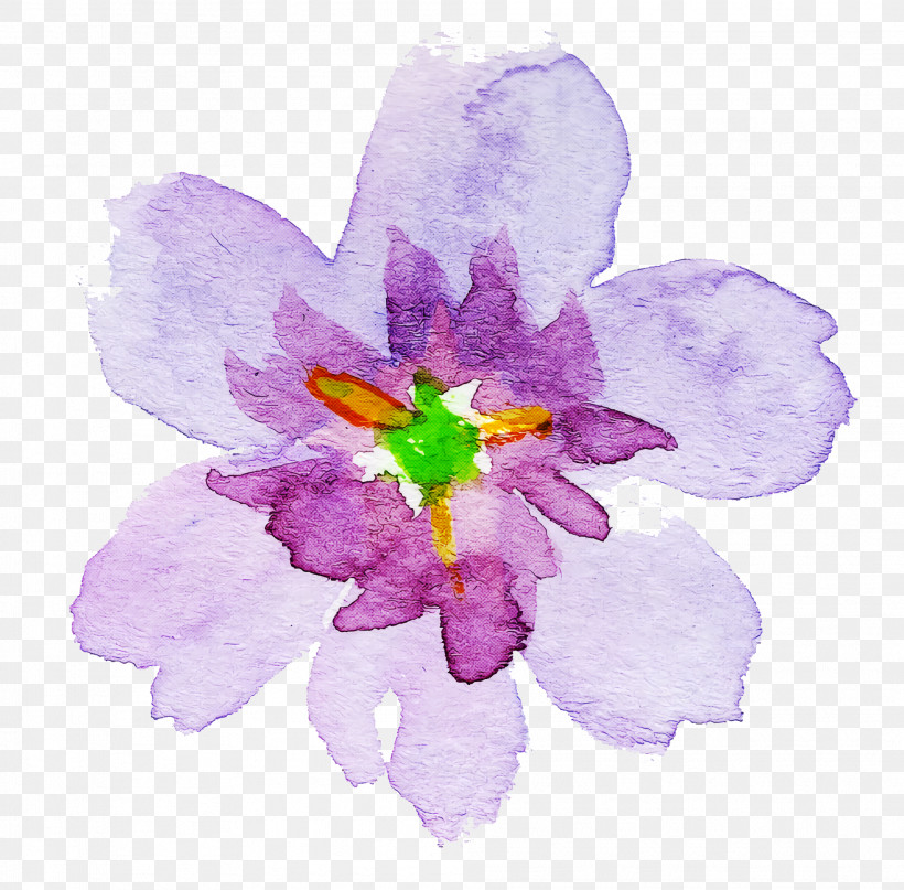 Lavender, PNG, 1982x1952px, Watercolor Flower, Crocus, Flower, Lavender, Lilac Download Free