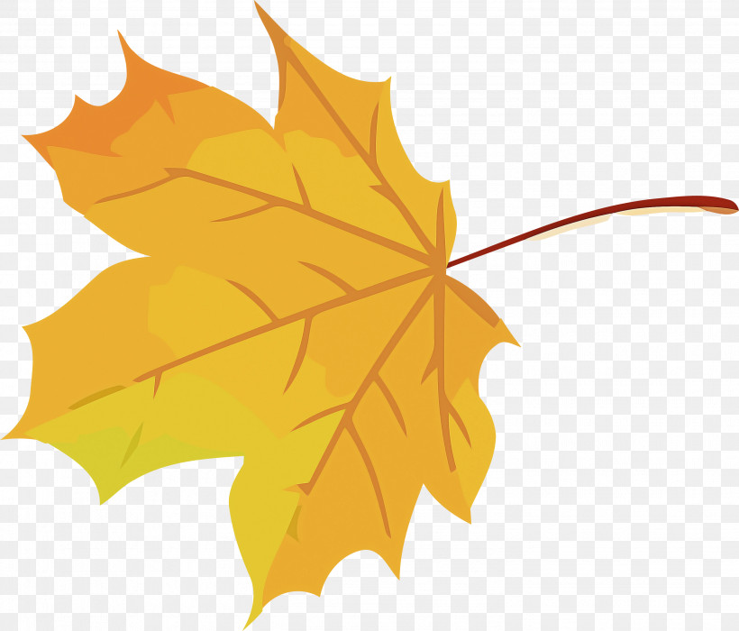 Autumn Leaf Yellow Leaf Leaf, PNG, 2983x2548px, Autumn Leaf, Autumn, Black Maple, Deciduous, Flower Download Free