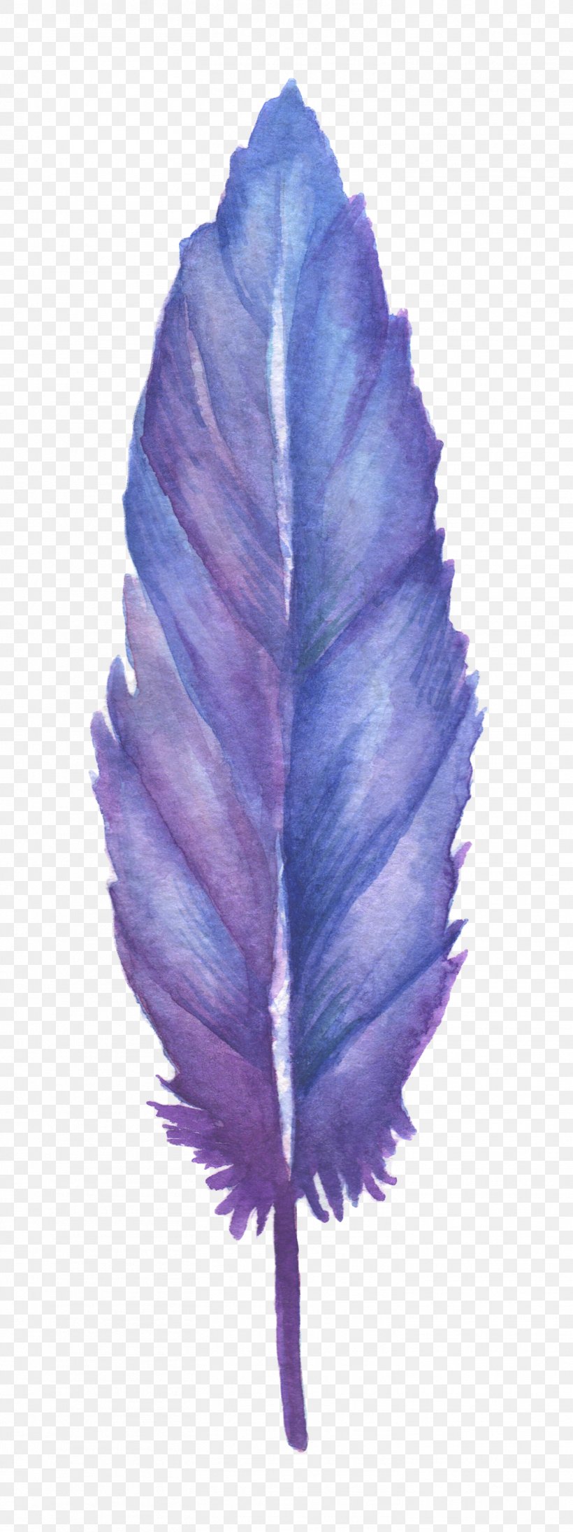 Feather Blue Clip Art, PNG, 1464x3912px, Feather, Blue, Color, Drawing, Flower Download Free