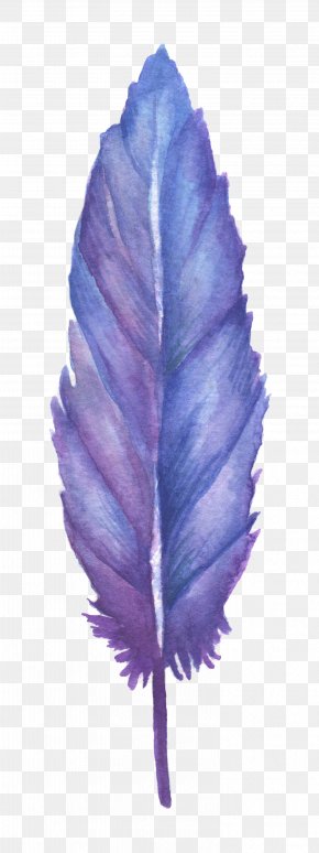 Bird Tattoo Feather Blue Jay Watercolor Painting Png 570x759px Bird Art Blue Jay Feather India Ink Download Free