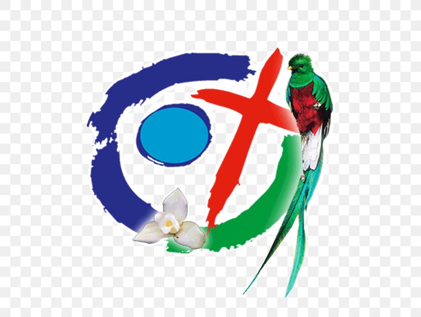 Fifth Episcopal Conference Of Latin America Christian Mission Missionary Aparecida, PNG, 565x618px, Christian Mission, Aparecida, Christ, Church, Evangelism Download Free