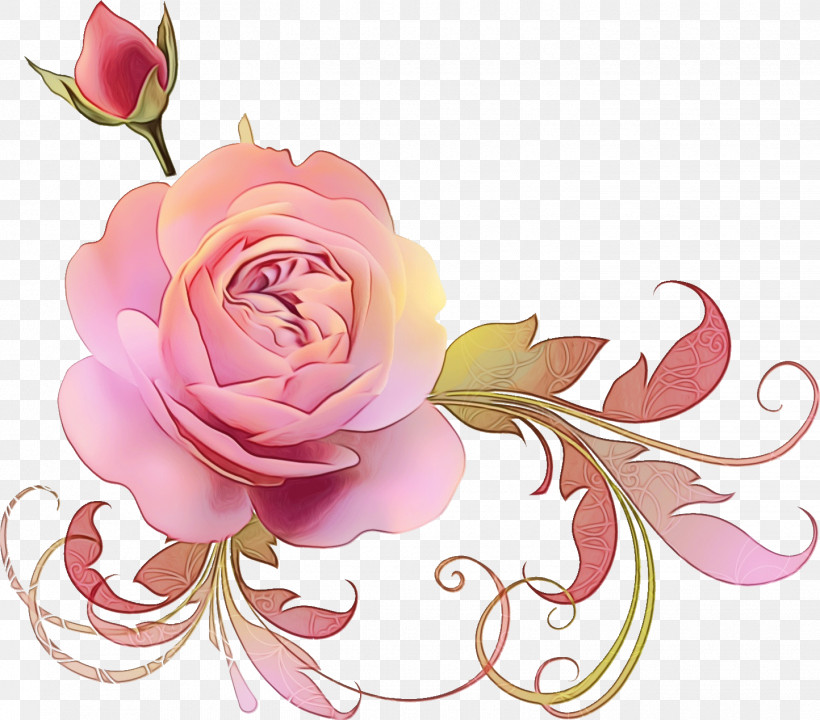 Garden Roses, PNG, 1444x1269px, Floral, Cut Flowers, Floral Design, Floristry, Flower Download Free