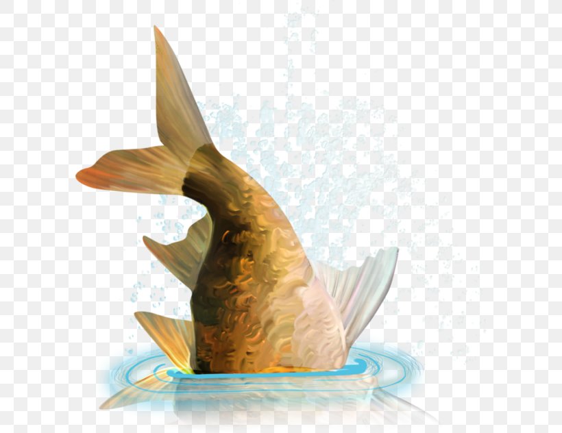 Goldfish, PNG, 600x632px, Goldfish, Beak, Bird, Fauna, Feather Download Free