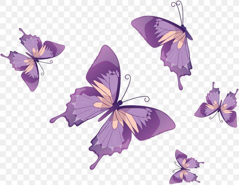 Monarch Butterfly Drawing Clip Art, PNG, 1600x1241px, Monarch Butterfly, Art, Brush Footed Butterfly, Butterflies And Moths, Butterfly Download Free