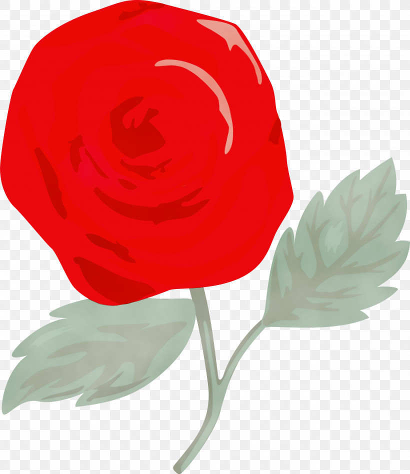 Rose, PNG, 2593x3000px, Pink Rose, Coquelicot, Flower, Paint, Petal Download Free