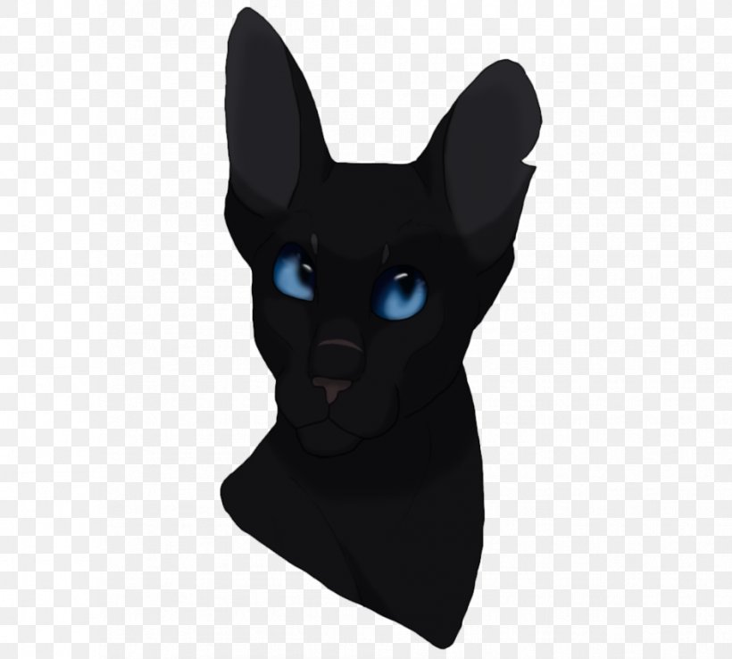 Whiskers Cat Dog Snout Canidae, PNG, 942x848px, Whiskers, Black, Black Cat, Black M, Canidae Download Free