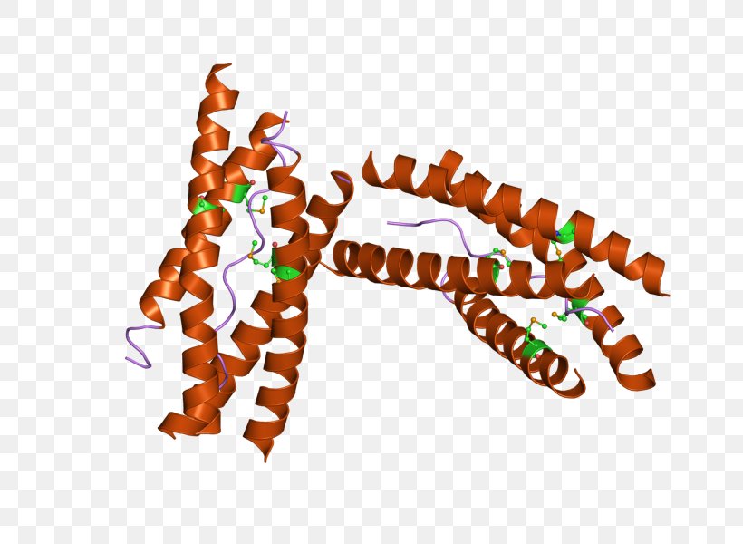 Acetylcholinesterase Neurotransmitter Enzyme, PNG, 800x600px, Acetylcholinesterase, Acetic Acid, Acetyl Group, Acetylcholine, Alzheimers Disease Download Free