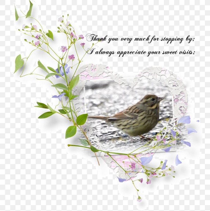 Bird Nest Fauna Lilac Feather, PNG, 761x823px, Bird Nest, Bird, Branch, Fauna, Feather Download Free