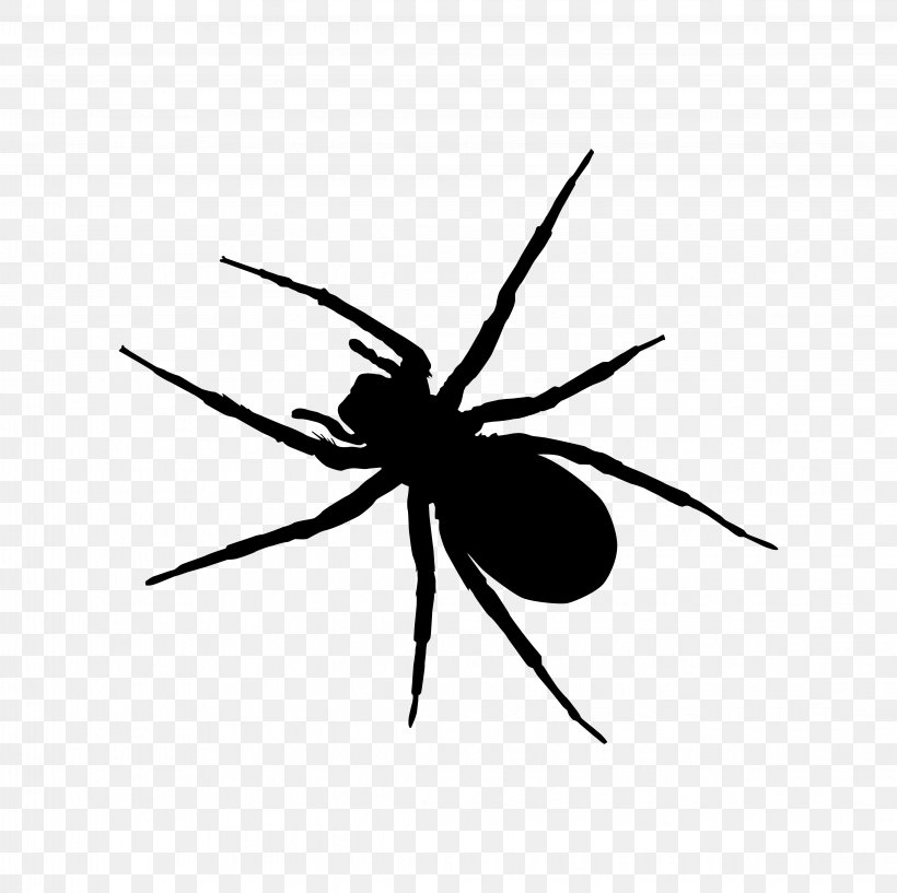 Spider-Man Clip Art, PNG, 4474x4459px, Spider, Arachnid, Arthropod, Black And White, Cartoon Download Free