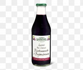 Blackcurrant - Squash Liqueur Juice Drink Blackcurrant PNG