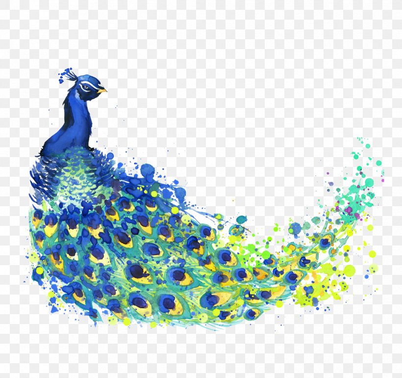 The Peacock Feather Peafowl Drawing Watercolor Painting Illustration, PNG, 1032x970px, Peacock Feather, Art, Beak, Bird, Cartoon Download Free