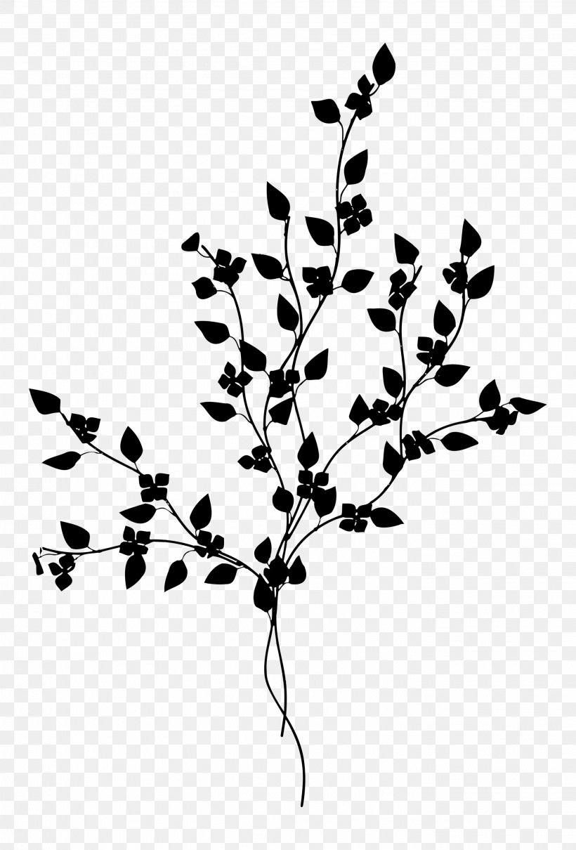 Twig Plant Stem Leaf Font Line, PNG, 2833x4182px, Twig, Blackandwhite, Botany, Branch, Flower Download Free