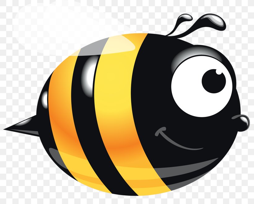 Bee Clip Art, PNG, 800x658px, Bee, Apis Florea, Cartoon, Honey Bee, Insect Download Free