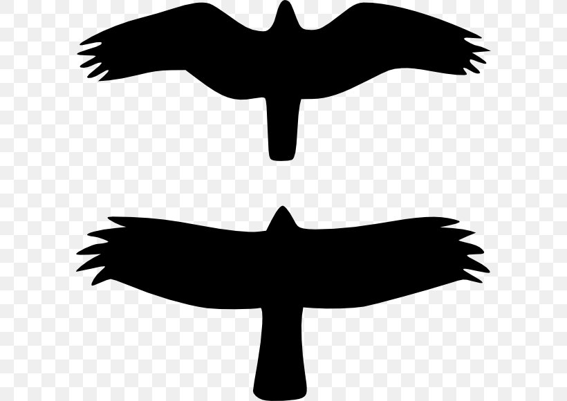 Bird Of Prey Bald Eagle Silhouette Clip Art, PNG, 600x580px, Bird, Artwork, Bald Eagle, Beak, Bird Of Prey Download Free