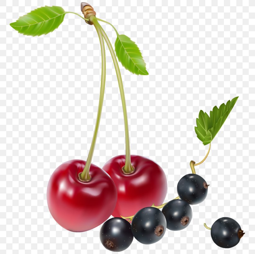 Cherry Fruit Clip Art, PNG, 769x814px, Cherry, Apricot, Berry, Blueberry, Cranberry Download Free